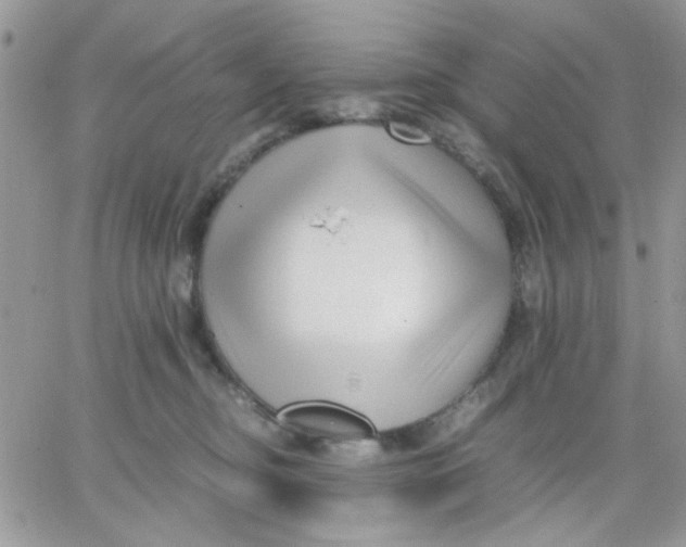 X0000066020374200603241541