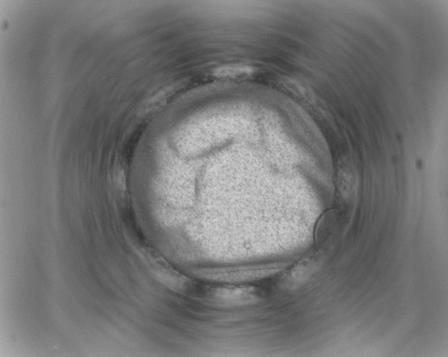 X0000066020375200603241541