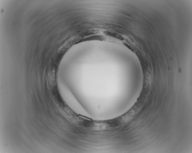 X0000066020376200603241541