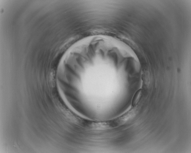 X0000066020378200603241541