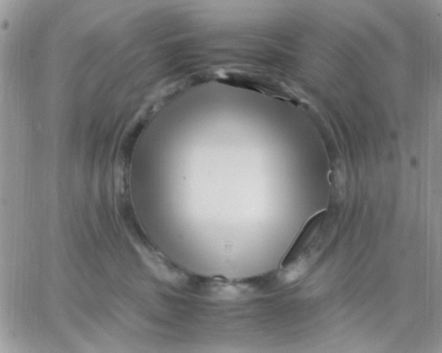 X0000066020379200603241541