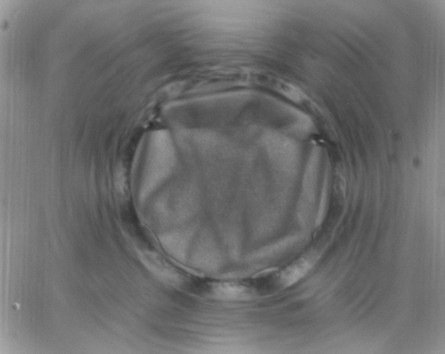 X0000066020380200603241541