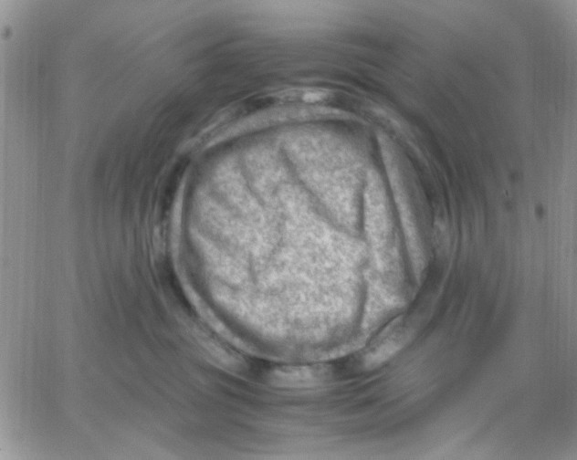 X0000066020381200603241541