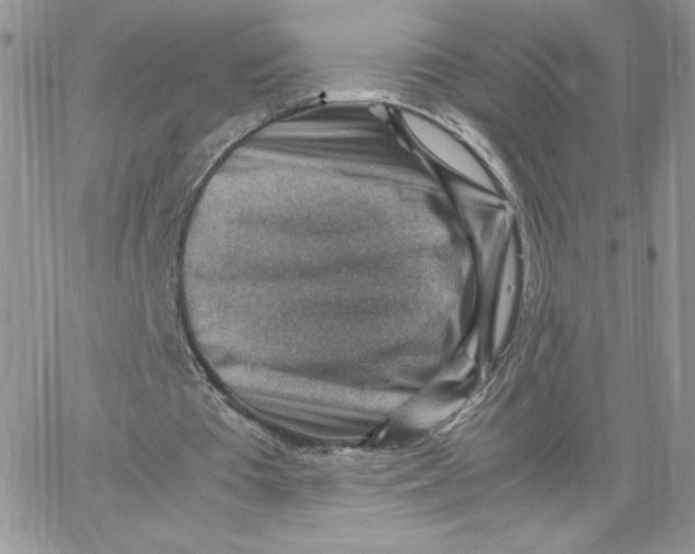 X0000066020385200603241540