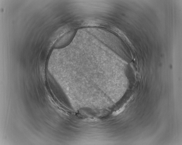 X0000066020386200603241540