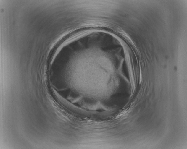 X0000066020387200603241540