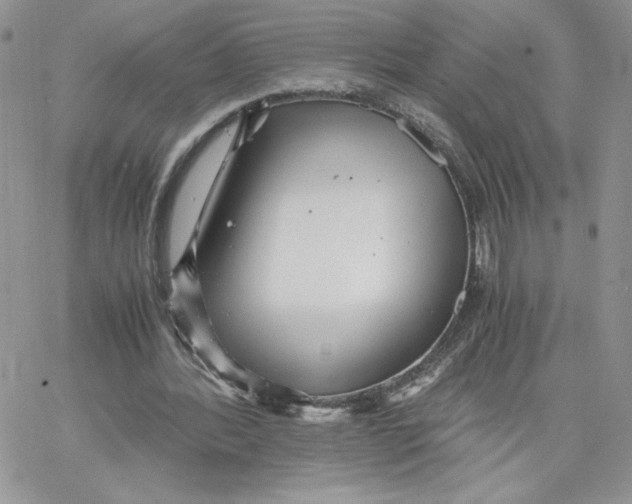 X0000066020388200603241540