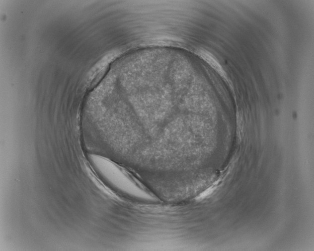 X0000066020389200603241540