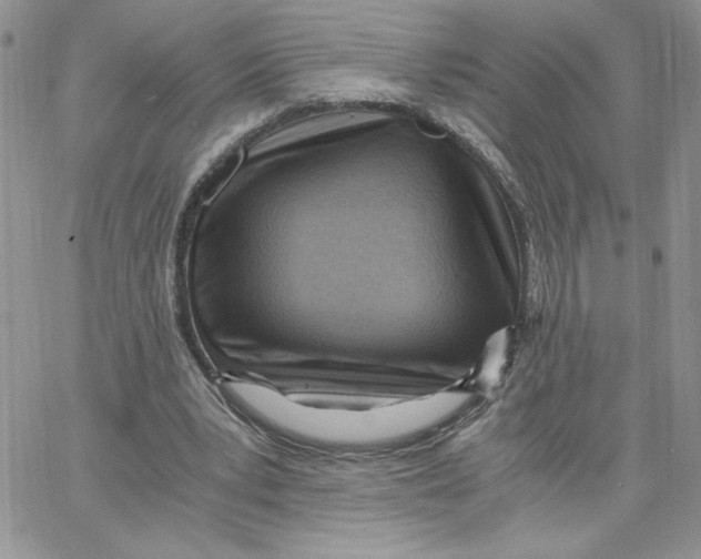 X0000066020391200603241540