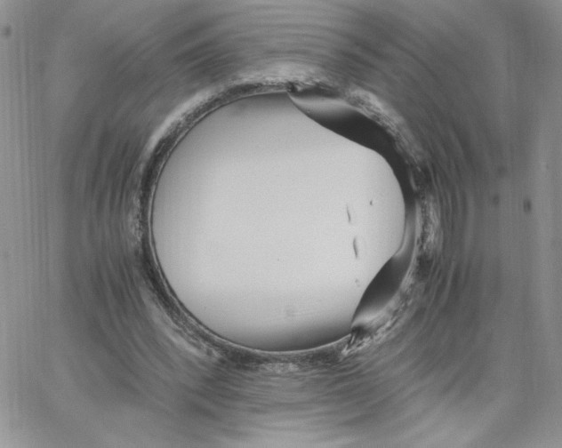 X0000066020392200603241540