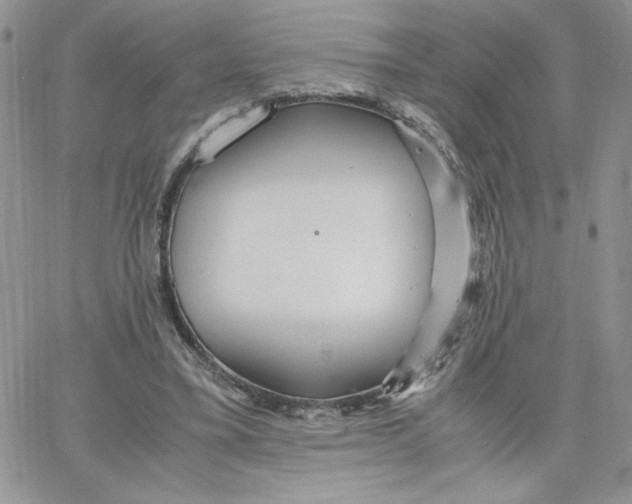 X0000066020395200603241540