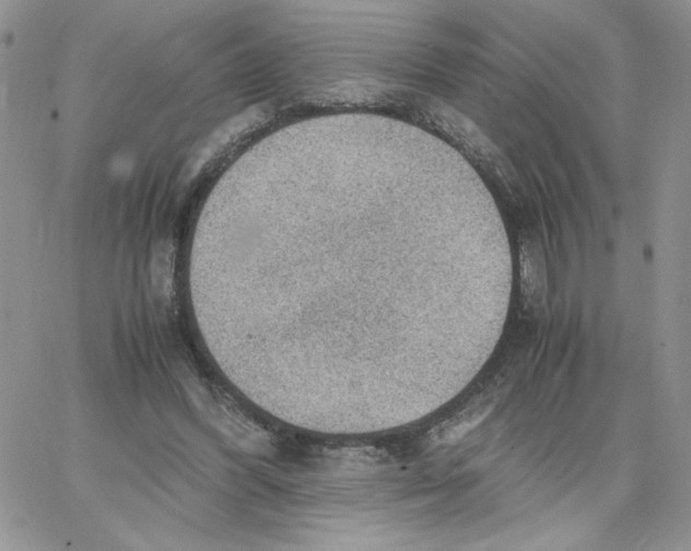 X0000066020396200603241540