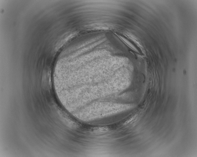 X0000066020398200603241540