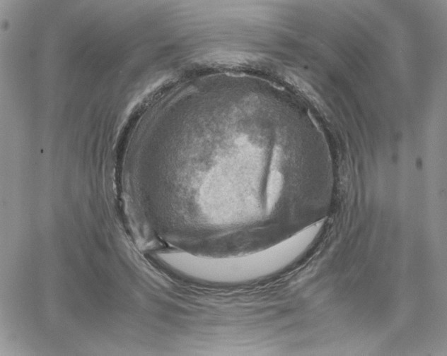 X0000066020399200603241540