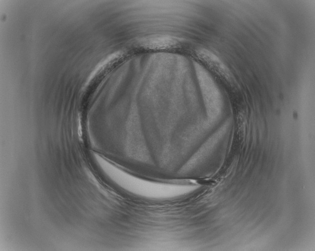 X0000066020400200603241540