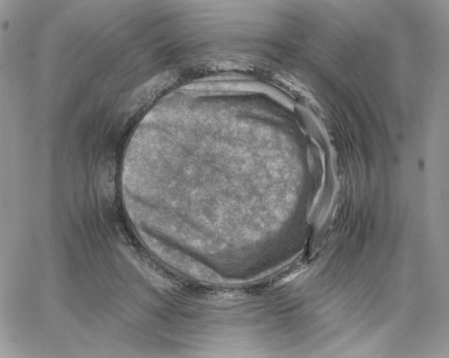 X0000066020402200603241540