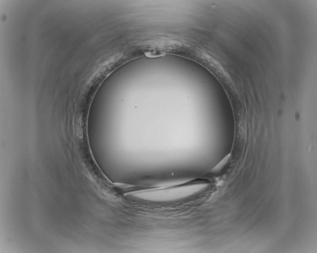 X0000066020403200603241540