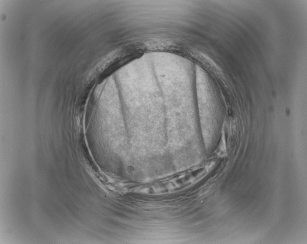 X0000066020405200603241540