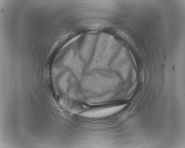 X0000066020407200603241540