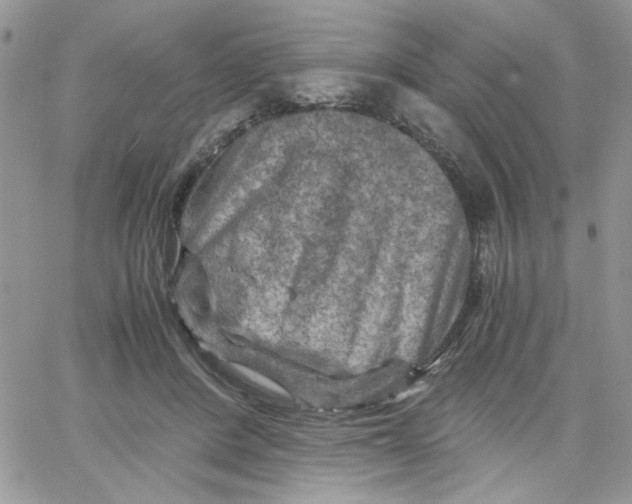 X0000066020408200603241540