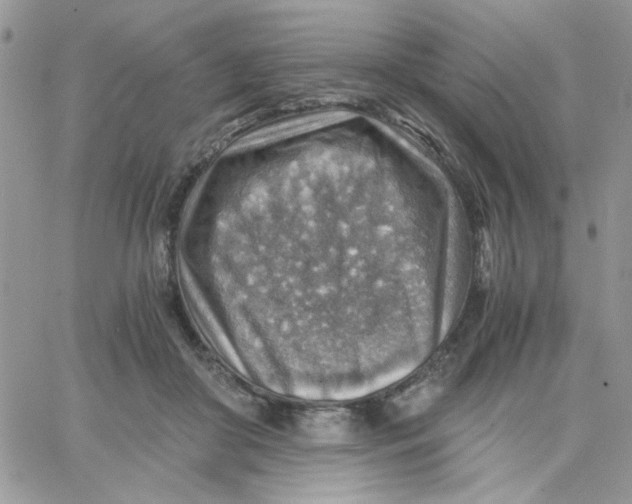 X0000066020410200603241540