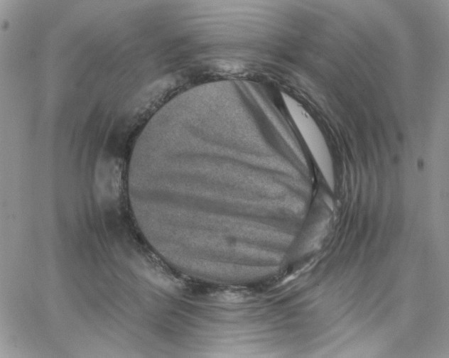 X0000066020412200603241540