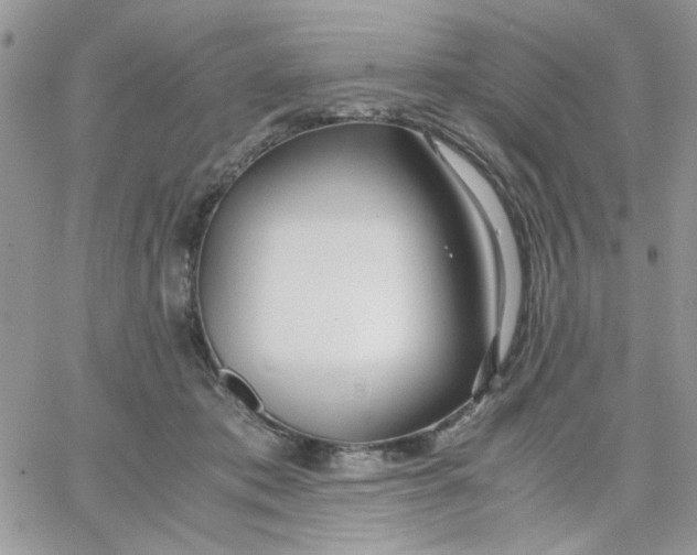 X0000066020413200603241540