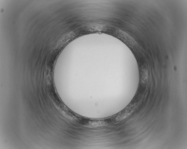 X0000066020414200603241540