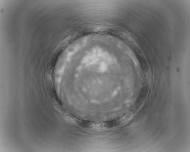 X0000066020415200603241540