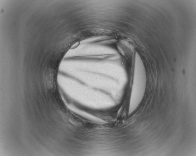 X0000066020416200603241540