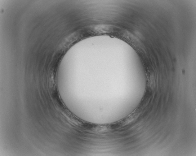 X0000066020418200603241540