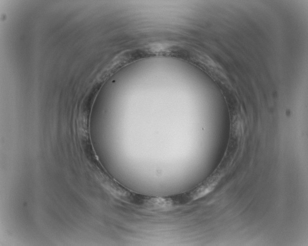 X0000066020421200603241540