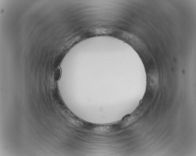 X0000066020422200603241540