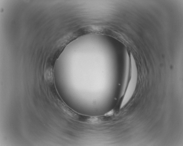 X0000066020425200603241540