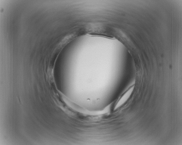 X0000066020429200603241540