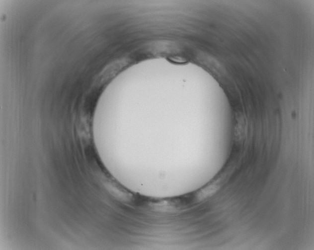 X0000066020430200603241540