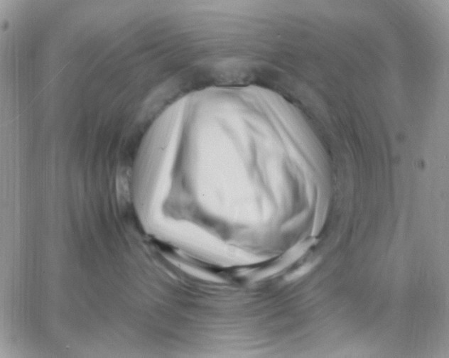 X0000066020432200603241540