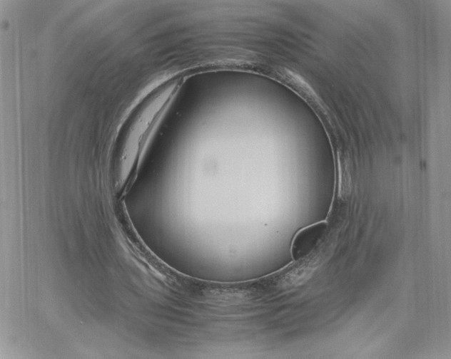 X0000066020435200603241539