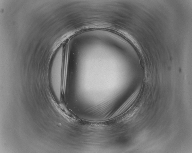 X0000066020437200603241539