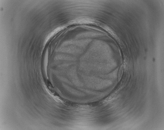 X0000066020438200603241539