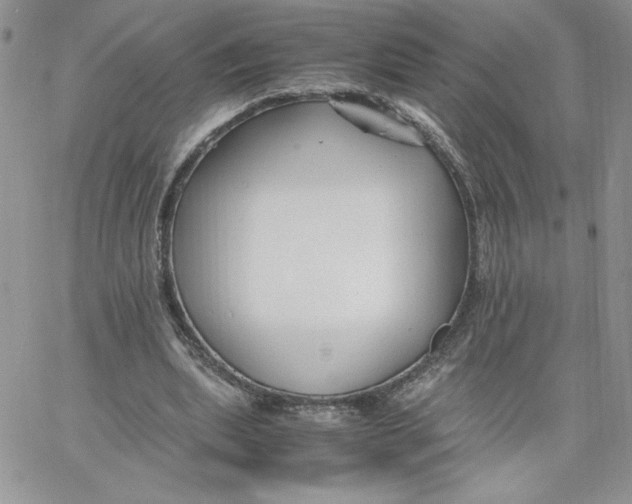 X0000066020439200603241539