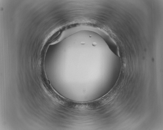 X0000066020440200603241539