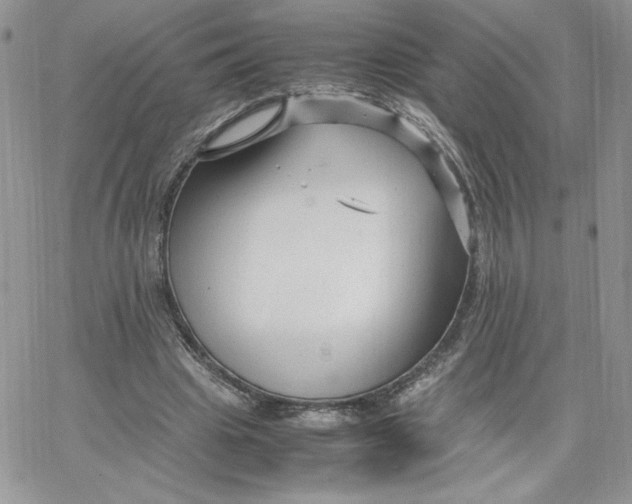 X0000066020441200603241539