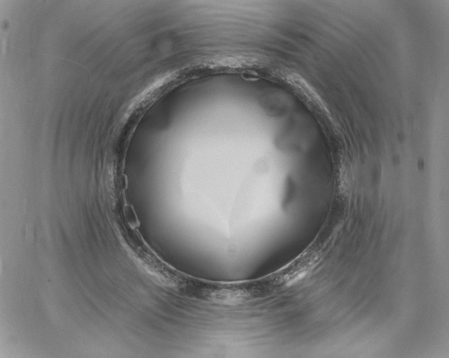 X0000066020444200603241539