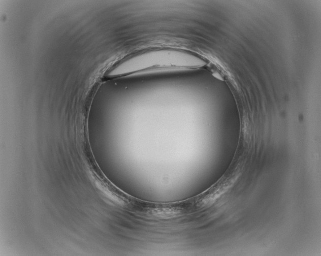 X0000066020445200603241539