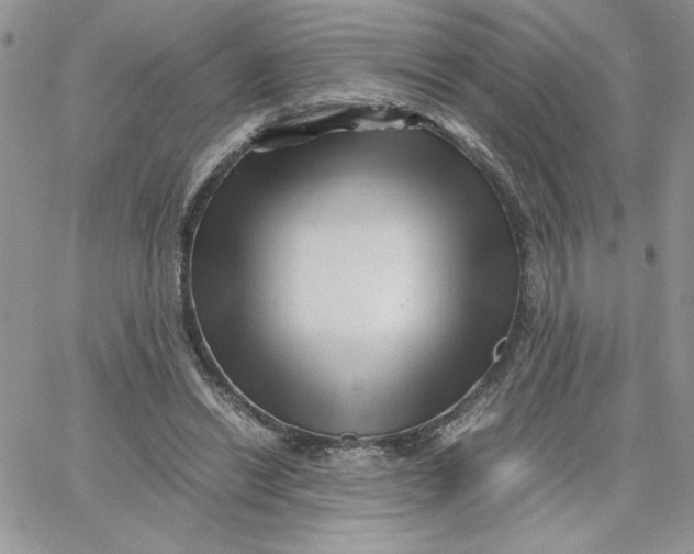 X0000066020446200603241539