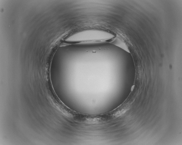 X0000066020450200603241539