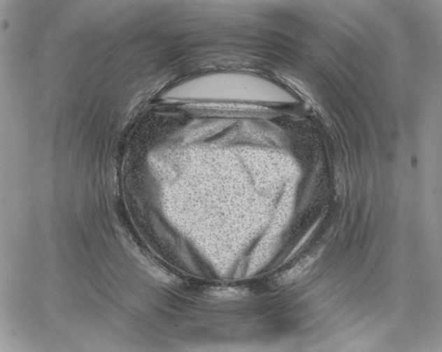 X0000066020453200603241539