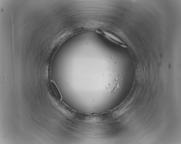 X0000066020454200603241539