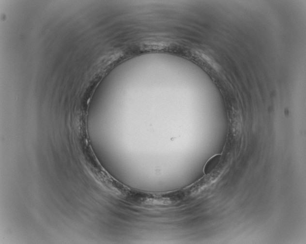 X0000066020455200603241539